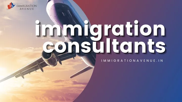 immigration consultants