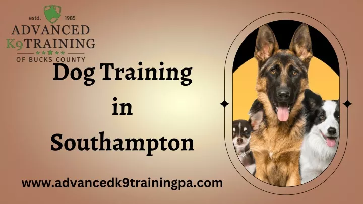 dog training in southampton