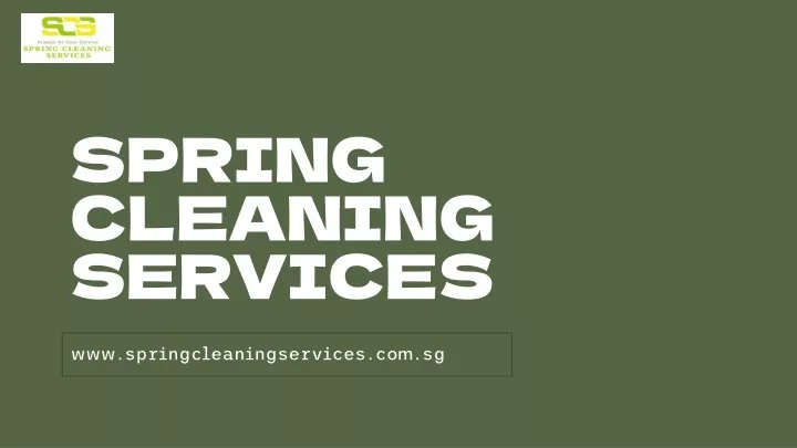 spring cleaning services