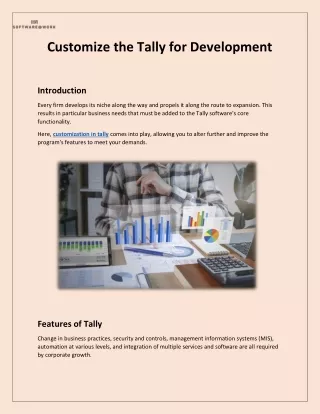 Customize the Tally for Development