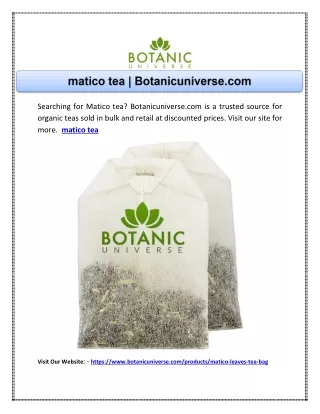 matico tea | Botanicuniverse.com