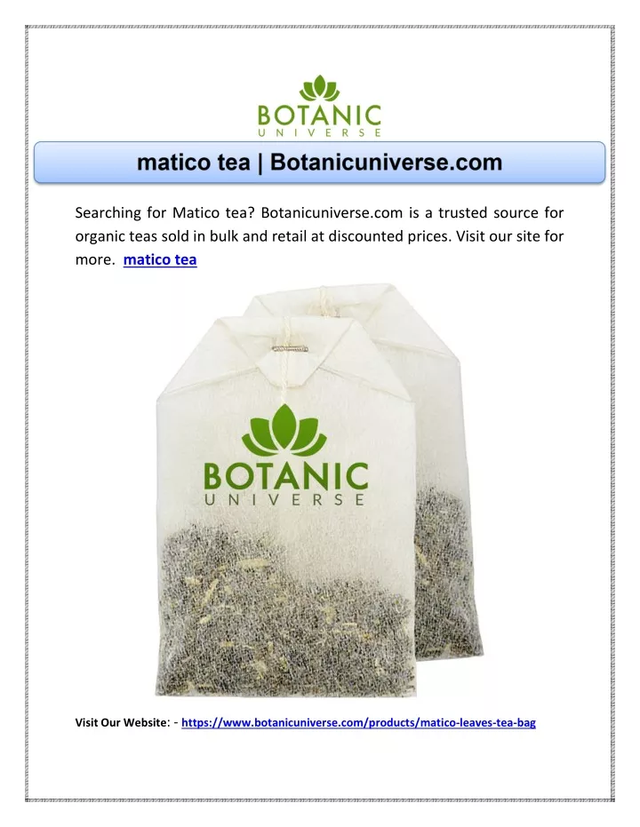 searching for matico tea botanicuniverse