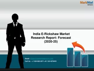 India E-Rickshaw Market 2020