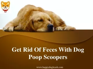 Get Rid Of Feces With Dog Poop Scoopers