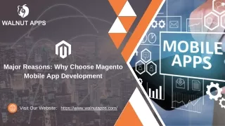 major reasons why choose magento mobile
