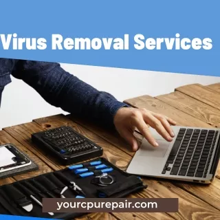 Virus Removal Services