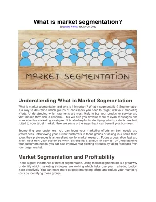 8. What is market segmentation