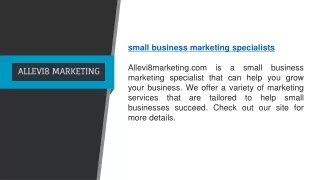 Small Business Marketing Specialists  Allevi8marketing.com