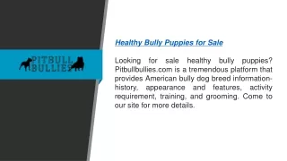Healthy Bully Puppies For Sale  Pitbullbullies.com