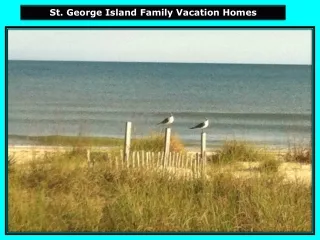 St. George Island Family Vacation Homes