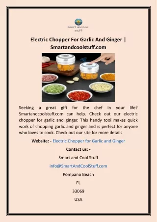 Electric Chopper For Garlic And Ginger  Smartandcoolstuff