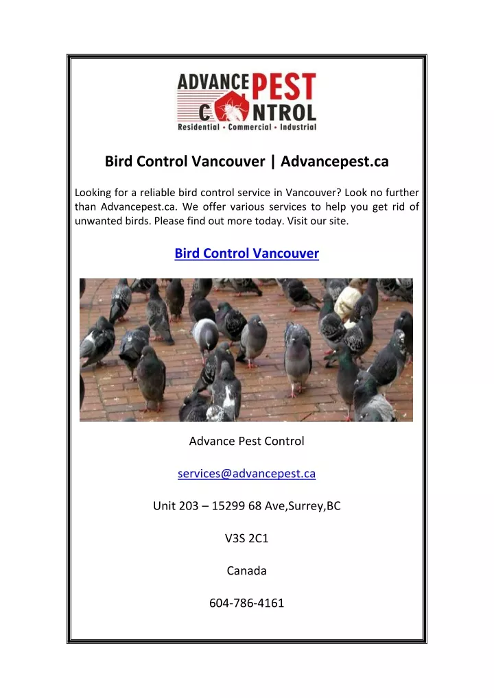 bird control vancouver advancepest ca