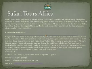 Safari Tours Africa