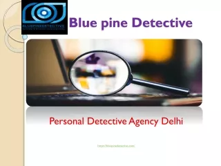 Matrimonial Detective services-9110037434-Bluepine Detective