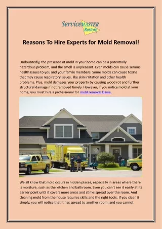 Getting Mold Removed in Davy Is Best