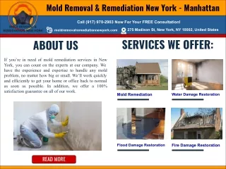 Mold Removal & Remediation New York - Manhattan
