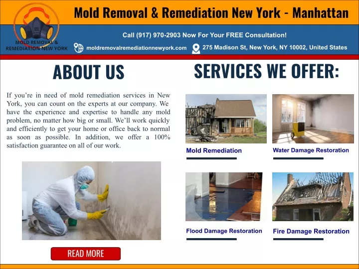 mold removal remediation new york manhattan