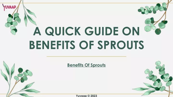 a quick guide on benefits of sprouts