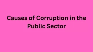 causes of corruption in the public sector