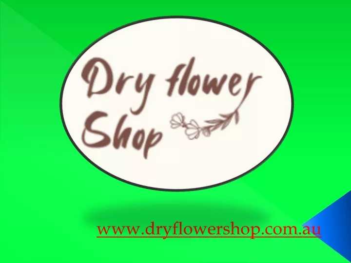 www dryflowershop com au