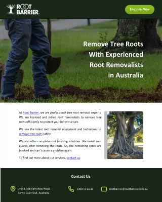 Remove Tree Roots With Experienced Root Removalists in Australia