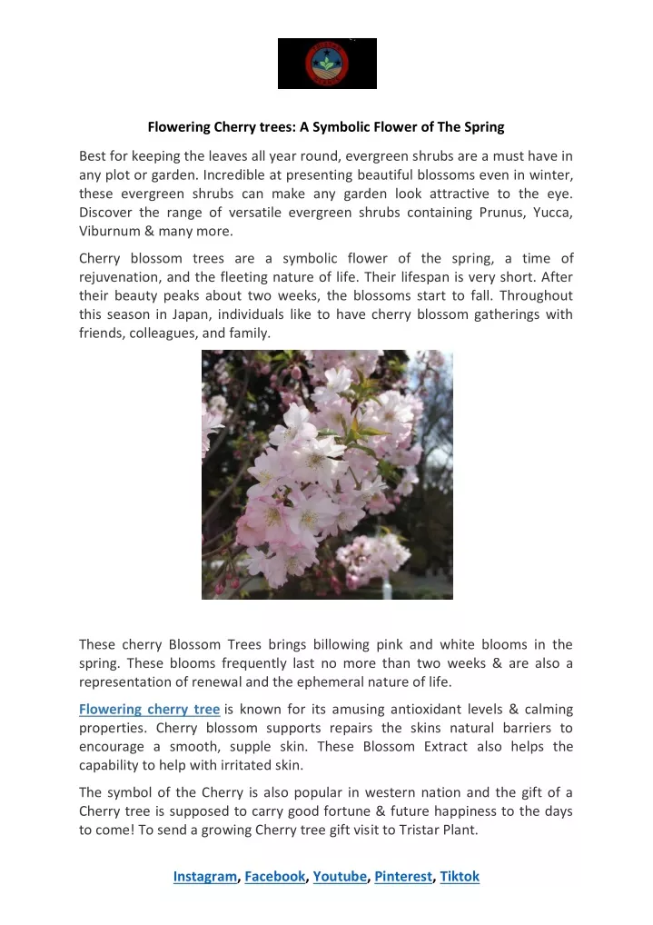 flowering cherry trees a symbolic flower