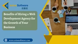 Benefits of Hiring a Web Development Agency for the Growth of Your Business (1)
