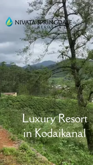 luxury resort in kodaikanal