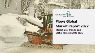 plows global market report 2022 market size