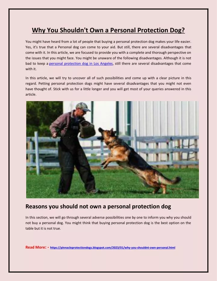 why you shouldn t own a personal protection dog