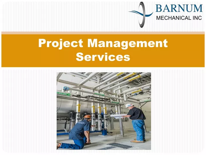 project management services