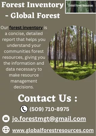 forest inventory global forest our forest