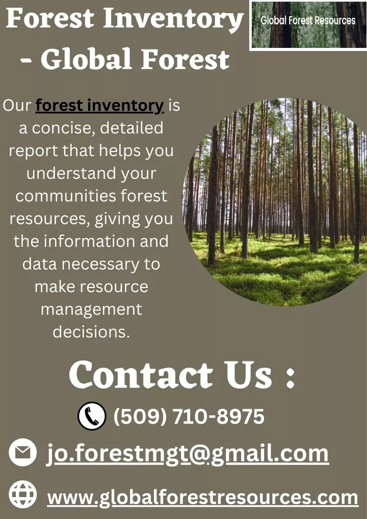 forest inventory global forest our forest