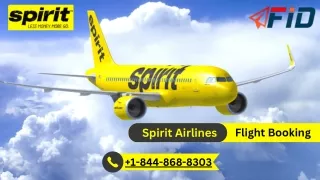 Spirit Airlines Flight Booking