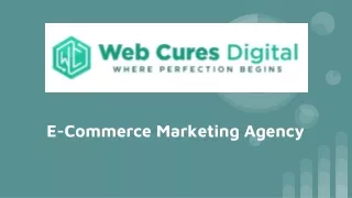 ecommerce marketing agency