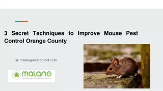 3 Secret Techniques to Improve Mouse Pest Control Orange County