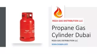 Propane Gas Cylinder Dubai_