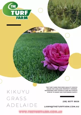 Kikuyu Grass Adelaide