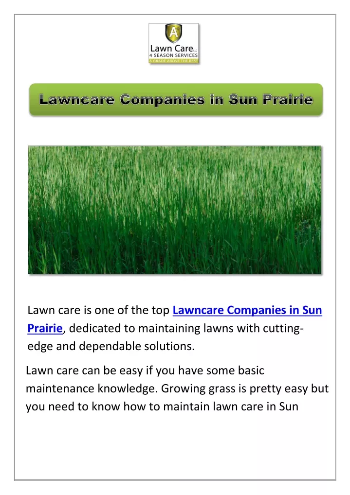 lawn care is one of the top lawncare companies