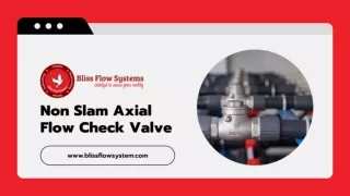 Non Slam Axial Flow Check Valve Supplier & distributor in India
