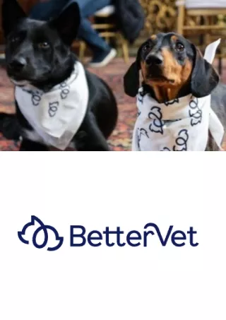 BetterVet South Florida, Mobile Vet Care