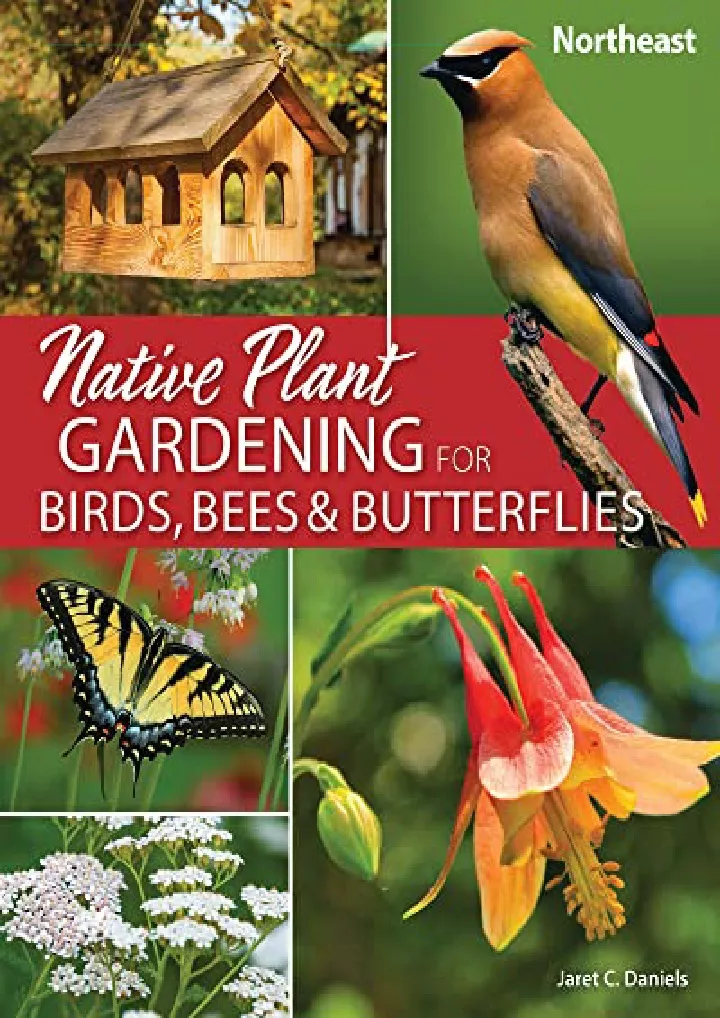 native plant gardening for birds bees butterflies