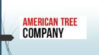 Tree Service Apple Valley, CA