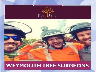 Weymouth Tree Surgeons