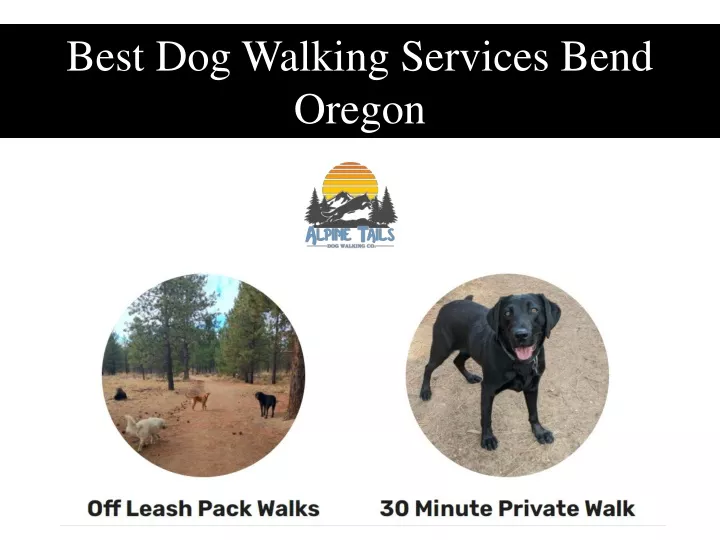 best dog walking services bend oregon