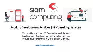 Product Development Services  IT Consulting Services
