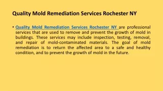 Quality Mold Remediation Services Rochester NY