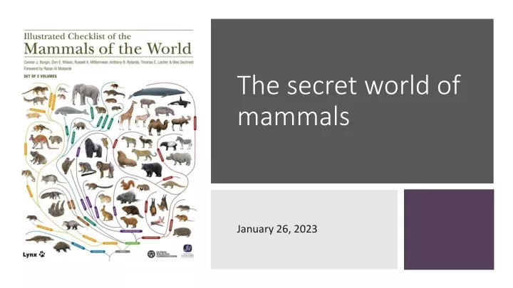 the secret world of mammals