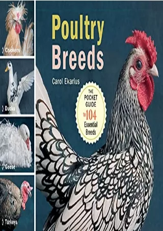 $PDF$/READ/DOWNLOAD Poultry Breeds: Chickens, Ducks, Geese, Turkeys: The Pocket