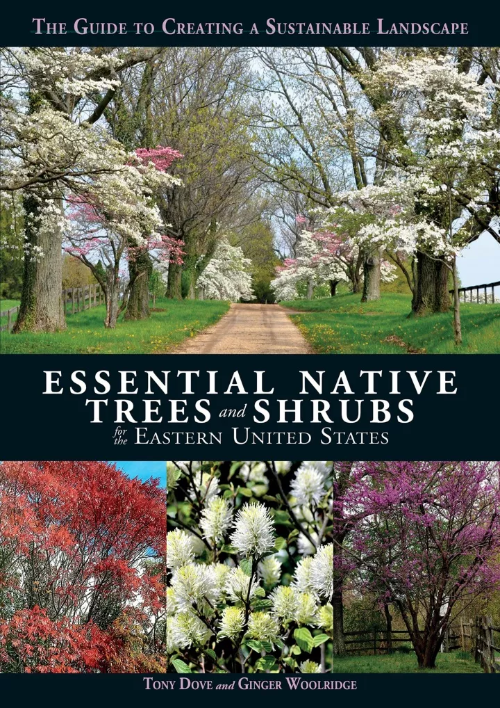 essential native trees and shrubs for the eastern